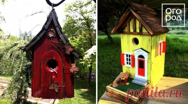 Правильный скворечник: каким он должен быть? | Вдохновение (Огород.ru)