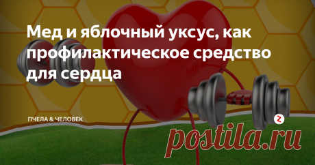 Мед и яблочный уксус, как профилактическое средство для сердца Каждый современный человек знает, что мы каждый день подвержены стрессам, физическим и умственным нагрузкам. Нищему организму приходится не сладко, тем более некоторые люди «добивают» свой организм курением и алкоголем. Все это очень негативно сказывается на нашем сердце и сосудах.
Я сегодня хотел бы рассказать вам об одном очень простом, но весьма эффективном профилактическом средстве, которое по