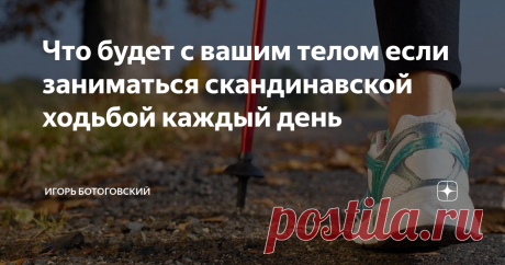 Что будет с вашим телом если заниматься скандинавской ходьбой каждый день Друзья, приветствую! Все чаще замечаю в парках людей которые не просто прогуливаются, а занимаются скандинавской ходьбой. Сам лично не пробовал, так как предпочитаю бег по стадиону или пересеченной местности (кстати там тоже ходят), но вот для вас информацию об этой ходьбе раздобыл!
Скандинавская ходьба – это особенный вид физической активности,  и он уникален,  потому что он в себе объединил