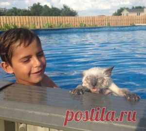 Булочки с плавленым сыром | Вкус жизни