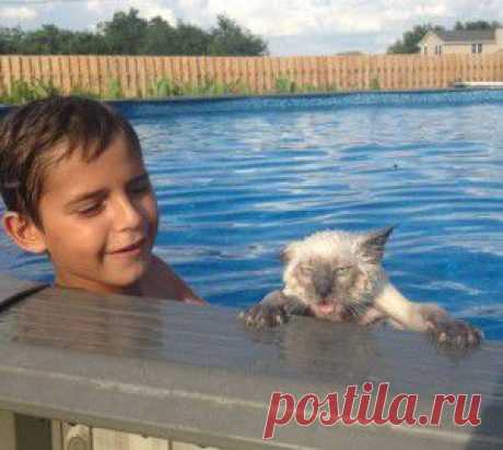 Булочки с плавленым сыром | Вкус жизни