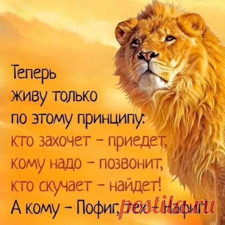 Мысли великих 📚