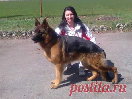 готовимся к выставке