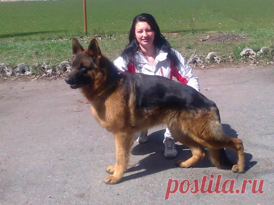 готовимся к выставке