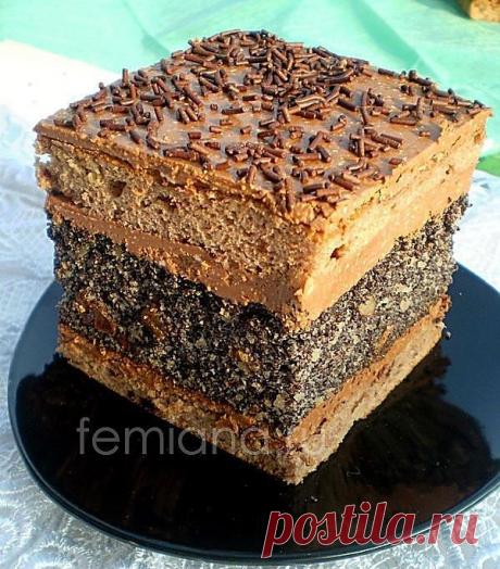 Маковый торт с шоколадным кремом-глазурью | FEMIANA