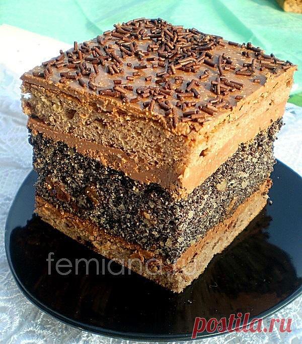 Маковый торт с шоколадным кремом-глазурью | FEMIANA