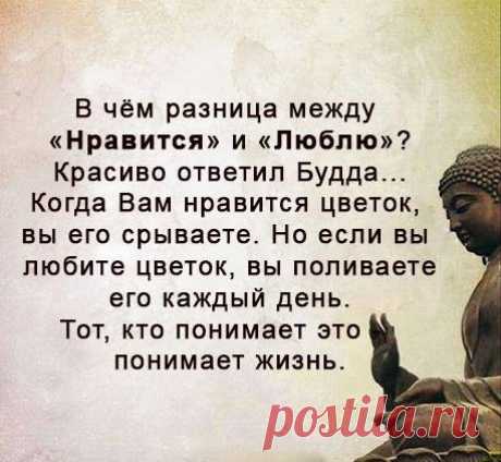 хх