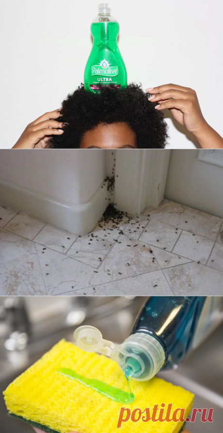 Идеи применения средства для мытья посуды не по назначению — Мой дом