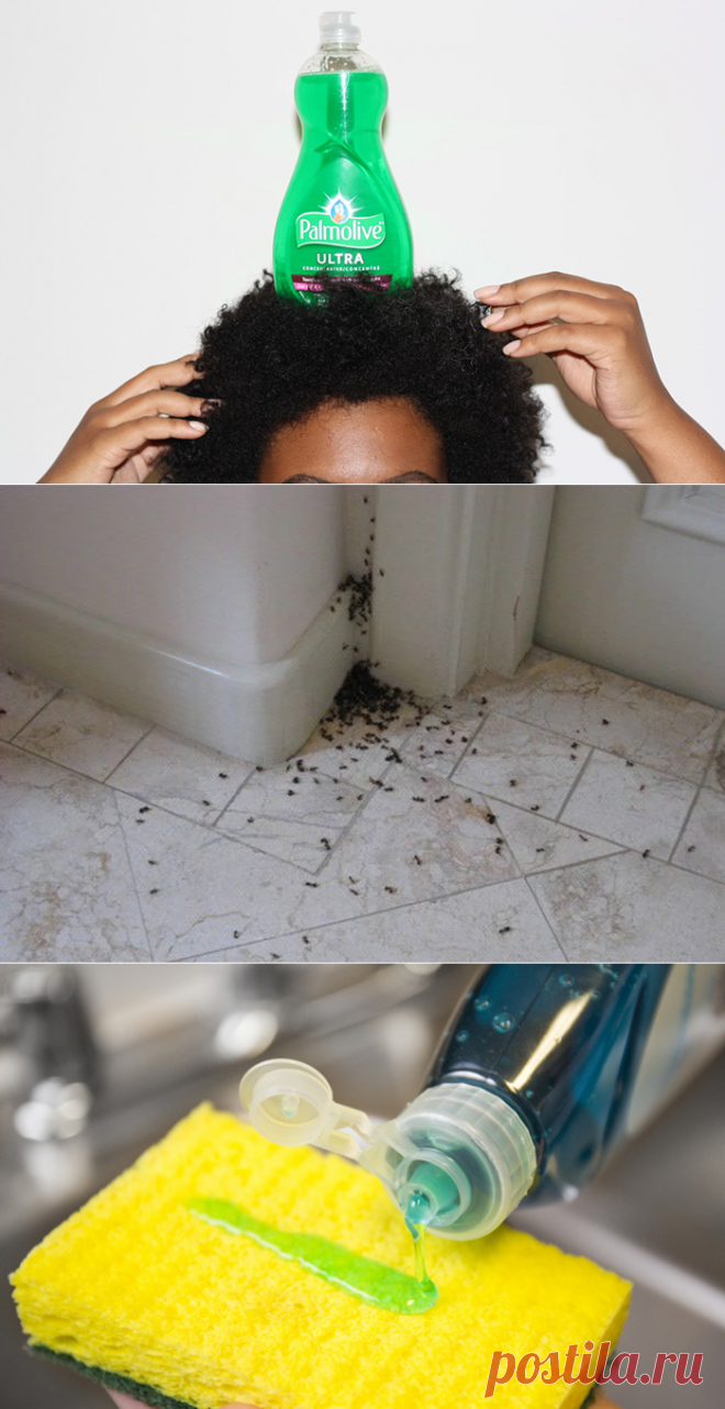 Идеи применения средства для мытья посуды не по назначению — Мой дом