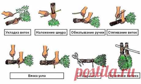 ПРАВИЛЬНЫЕ ВЕНИКИ ДЛЯ БАНИ!