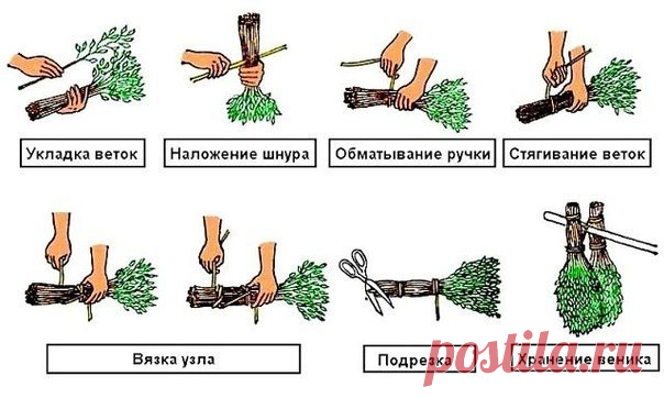 ПРАВИЛЬНЫЕ ВЕНИКИ ДЛЯ БАНИ!