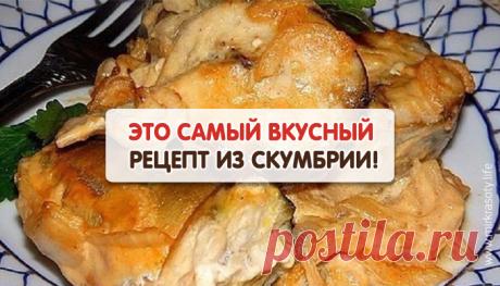Это просто объедение! Скумбрия, запеченная в горчичном соусе
