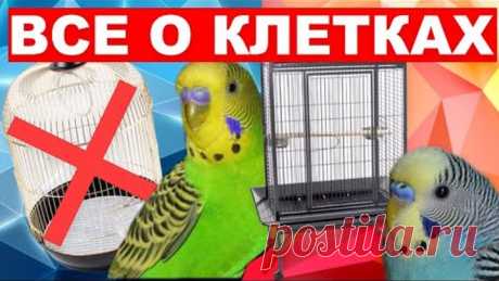 ОБУСТРОЙСТВО КЛЕТКИ ВОЛНИСТОГО ПОПУГАЯ 🦜 КАКАЯ КЛЕТКА ПОДХОДИТ ВОЛНИСТОМУ ПОПУГАЮ 🆘