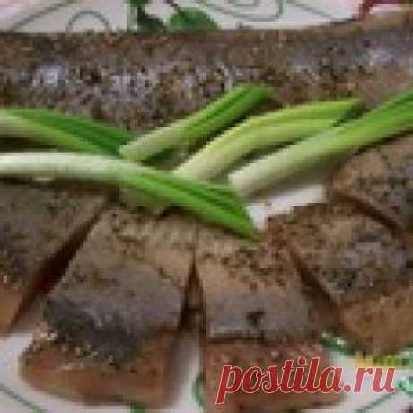 Малосольная сельдь мокрым способом Кулинарный рецепт
