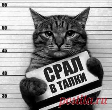 Виновен