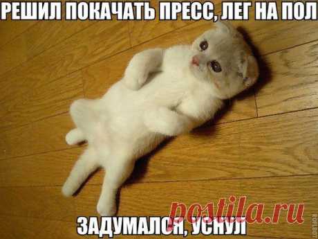 Новости
