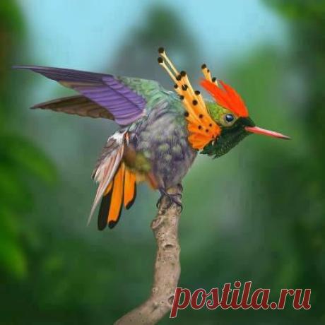 Дорогие мамочки в декрете, студенты, пенсионеры и ВСЕ, кому нужны деньги!!! Предлагаю работу НА ДОМУ. От 2-х часов в день! Всё официально, без вложений. Кому интересно ставьте + в кoмментaриях, вышлю информацию!