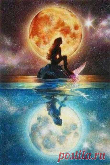 (373) Pinterest