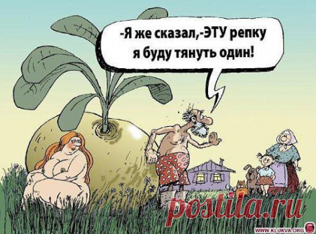 Владимир Анохин
Репка.