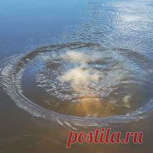 Делаем сами уловистую прикормку - МирТесен