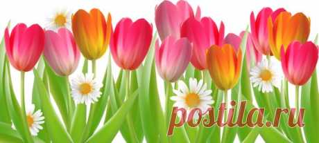 (24) Pinterest