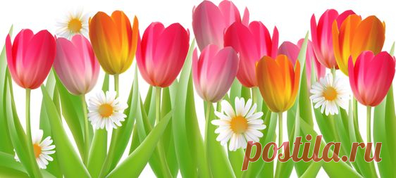 (24) Pinterest
