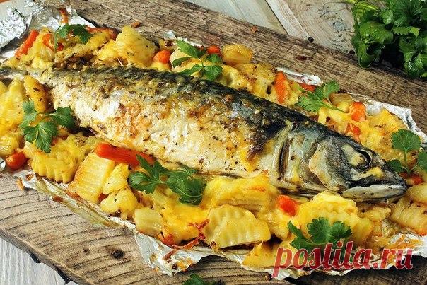 Запеченная скумбрия с овощами

Взять одну крупную скумбрию помыть, почистить. Нарезать на порционные кусочки, немного не дорезая до конца. Чтобы рыба не распалась на кусочки. В каждый разрез положить ломтик лимона, ломтик помидора, ломтик лука. Рыбу посолить, поперчить. Завернуть в фольгу и запечь в духовке до готовности ( минут 25-30).