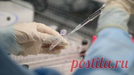 На работе заставляют вакцинироваться или предоставить результат анализа на антитела
Врачей, работающих в государственной медицине, обязуют в добровольно-принудительном порядке вакцинироваться. В некоторых учреждениях возможно предоставить справку о перенесенной инфекции или наличии антител. В частной медицине …
Читай дальше на сайте. Жми подробнее ➡