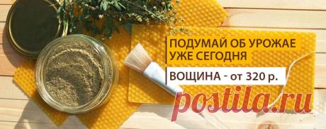Русское Пчеловодство - Главная
