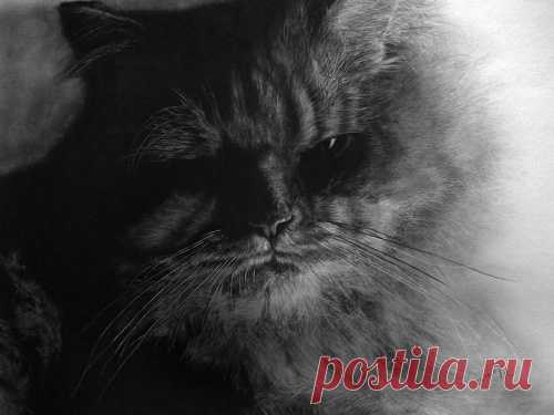 Рисунки простым карандашом от Paul Lung (117 работ) » Страница 2 » Картины, художники, фотографы на Nevsepic
