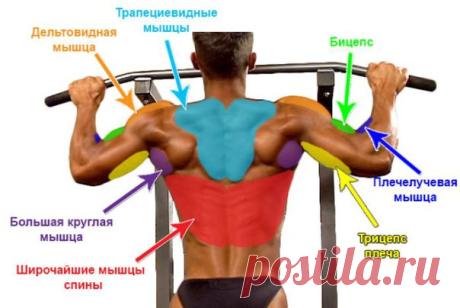 СПОРТинвентарь-21 | Гантели | Штанги | Турники - Мы занимаемся продажей атлетического оборудования, в частности - гантелей (в ассортименте гантели как для дома так и для залов), штанг (с большим ассортиментом блинов), турников и тренажеров.