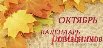 Праздники В Октябре В 2018 Году В России (Православные, Профессиональные, Международные)