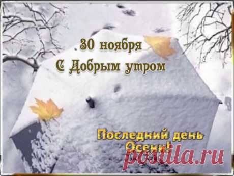 Видео открытки с добрым утром 30 ноября. Скачать * МУЗыкальный подарОК С Добрым утром 30 ноября. Красивые видео открытки с пожеланиями доброго утра в последний день осени. Скачать бесплатно для WhatsApp