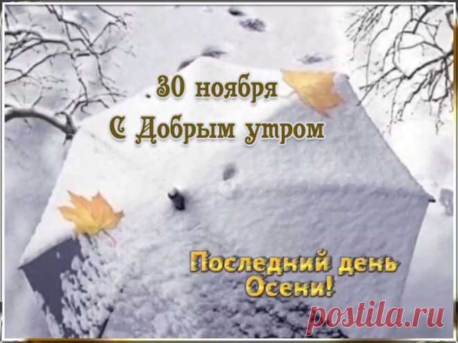 Видео открытки с добрым утром 30 ноября. Скачать * МУЗыкальный подарОК С Добрым утром 30 ноября. Красивые видео открытки с пожеланиями доброго утра в последний день осени. Скачать бесплатно для WhatsApp