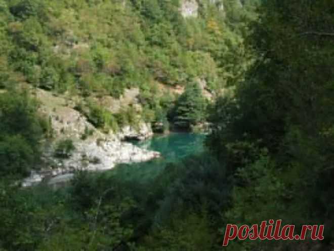 (12) Pavle Obradović
