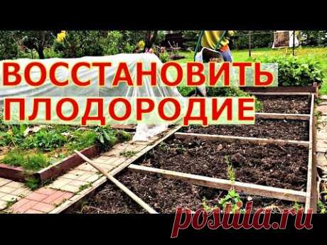 ОСЕННИЕ заботы о НОВОМ УРОЖАЕ!