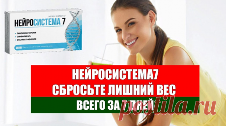 Нейросистема 7 омск