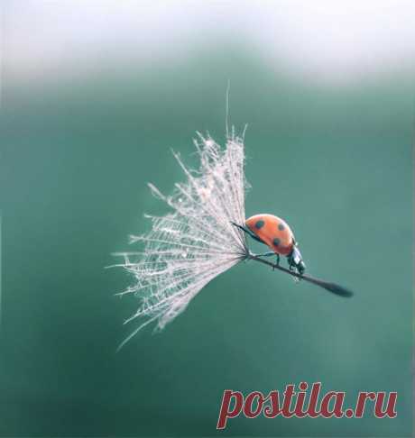 Самые уникальные снимки нашей планеты! Невозможно не смотреть