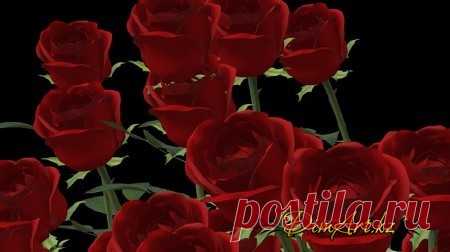 Футаж с вращающимися розами » Скачать рамки для фотошопа, шаблоны для fotoshop, календари, обложки для dvd, клипарт, psd исходники, стили, кисти, текстуры, скрап наборы