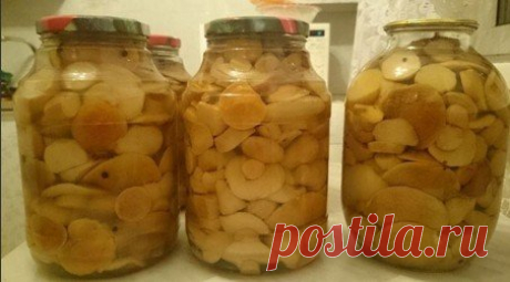 Маринуем белые грибы
Ингредиенты
Грибы белые,
Показать полностью...