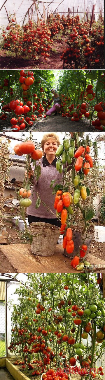 (99) Одноклассники