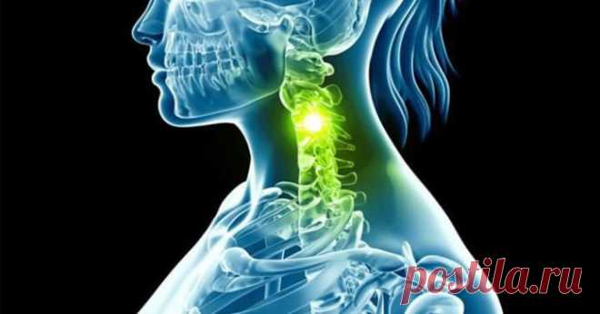 Упражнения для шеи, которые освобождают от зажимов и нормализуют давление Эти 5 упражнений предназначены для расслабления напряжённых мышц шеи и все вместе должны занимать 4–5 минут в день.