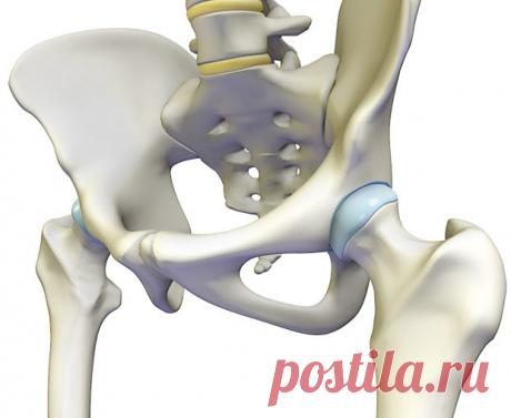 10 лучших упражнений для здоровья тазобедренных суставов  
Тазобедренный сустав выдерживает значительную нагрузку, так как на него приходится немалая часть массы тела. Поэтому так важно укреплять этот сустав и развивать его гибкость, выполняя упражнения для…