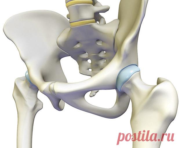 10 лучших упражнений для здоровья тазобедренных суставов  
Тазобедренный сустав выдерживает значительную нагрузку, так как на него приходится немалая часть массы тела. Поэтому так важно укреплять этот сустав и развивать его гибкость, выполняя упражнения для…