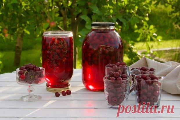 Вишневый компот без косточек на зиму — Сад Заготовка