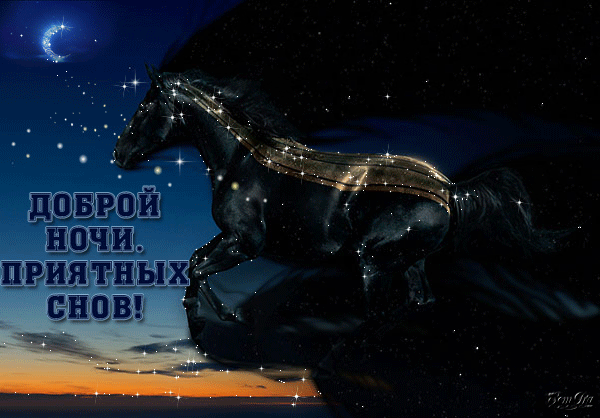 Доброй ночи и сладких снов!