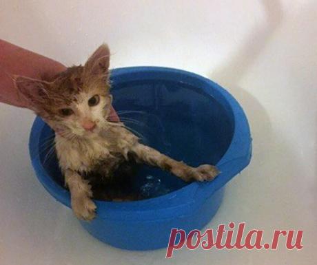 Этого мальчишку нашли месяц назад на дороге...
Этого мальчишку нашли месяц назад на дороге. При обследовании в клинике выяснилось, что за короткие три месяца своей жизни он получил переломы тазовых костей, лишился кусков кожи с подкожными тканями…