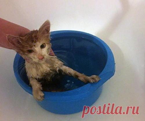 Этого мальчишку нашли месяц назад на дороге... 
Этого мальчишку нашли месяц назад на дороге. При обследовании в клинике выяснилось, что за короткие три месяца своей жизни он получил переломы тазовых костей, лишился кусков кожи с подкожными тканями…