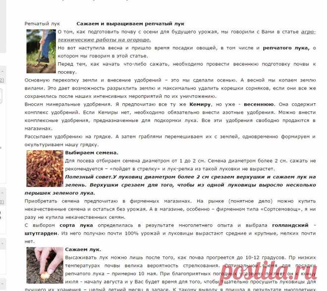 Сажаем и выращиваем репчатый лук