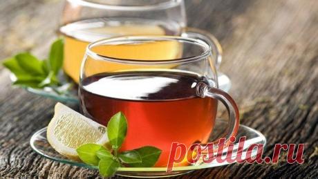 Как очистить организм от шлаков и токсинов? / Абсолютное здоровье